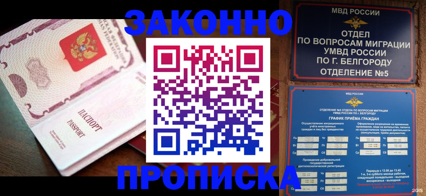 временная регистрация для школы в Мурманской области